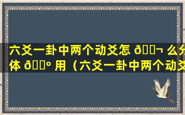 六爻一卦中两个动爻怎 🐬 么分体 🐺 用（六爻一卦中两个动爻怎么分体用法）